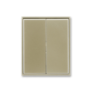 Клавиша выключателя двойного