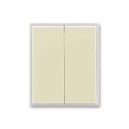 Клавиша выключателя двойная