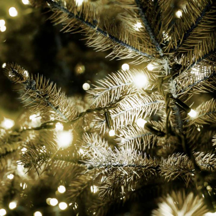 Гирлянда LED VELMAX V-SSL линейная 10 м, 100 LED, 2700К, IP65, с блоком питания, чёрный кабель, 21-54-20 - 1