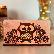 Соляний світильник «Сова з квіточками» 2кг