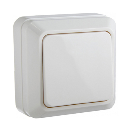 Вимикач одноклавішний накладний, АСКО-УКРЕМ, BЗ10-1-0-Ct-W - 1