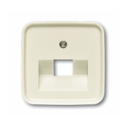 Центральная пластина для телефонных/компьютерных розеток с наклонным выходом