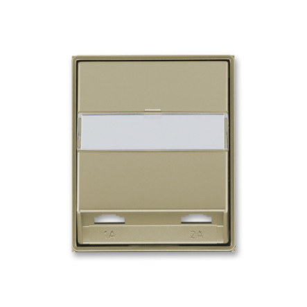 Центральная пластина для телефонной двойной розетки - 1