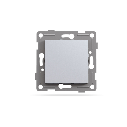 Заглушка для рамки VIDEX BINERA, серебряный шелк, VF-BNC-SS - 1