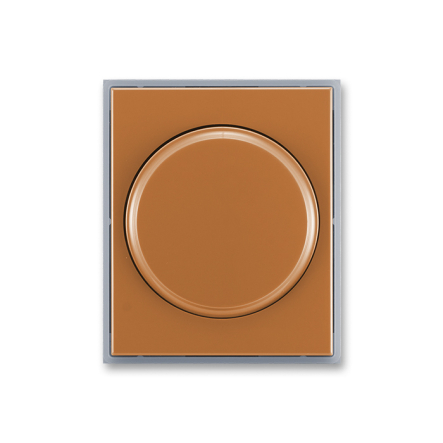 Центральная пластина поворотного диммера карамель - 1