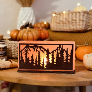 Соляной светильник «Природа» 2кг