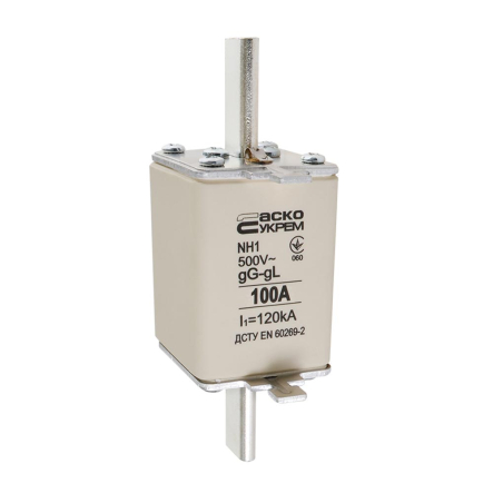 Предохранитель АСКО-УКРЕМ NH 1 100A gG, A0050010028