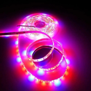 Фітоленти LEMANSO LM870, IP65, 5м, 60LED/м, 12V, 12W/м (4 червоний + 1 синій)