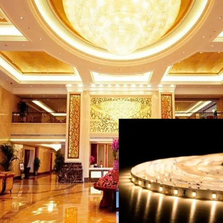 Светодиодная лента белая теплая BIOM Professional BPS-G3-12-2835-60-WW-20 IP20 6,5W/м