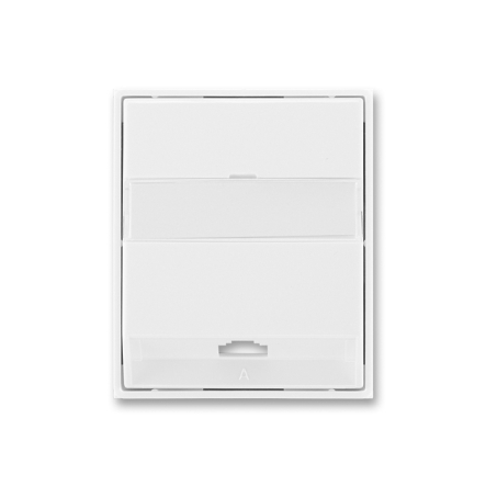 Центральная пластина для телефонной розетки - 1