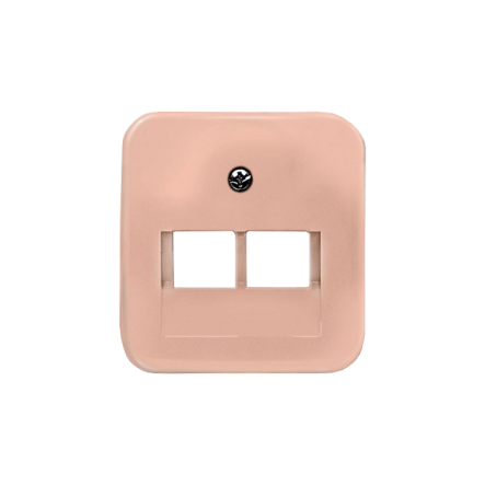 Центральная пластина двойная для телефонной/компьютерной розетки с наклонным выходом (снято с производства) - 1