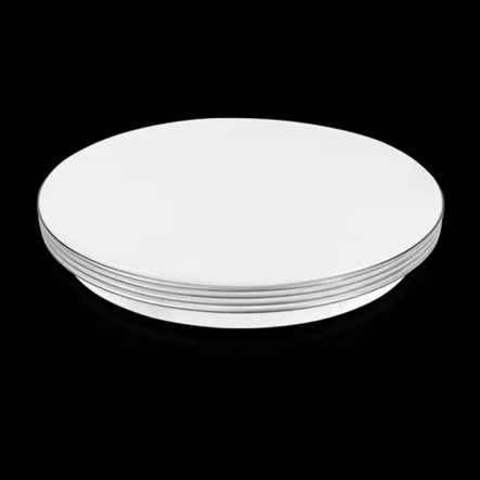 Декоративная лента к светильнику DEL-R-20-42-4 DIY и SML-R20-80-DIY, серебристая, DS-R480-08-4S