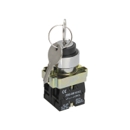 Переключатель 2 положения с ключом IEK LAY5-BG45