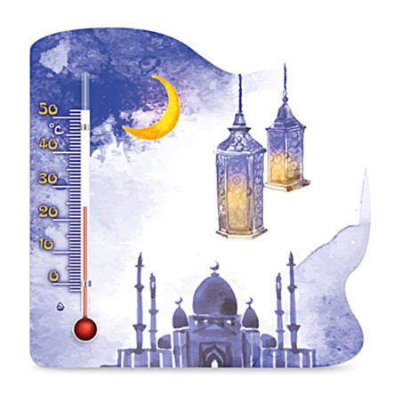 Термометр П-21, магнитный, комнатный, Украина