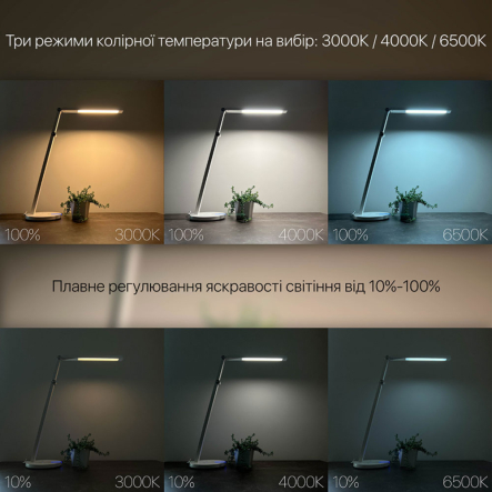 Настольная лампа Violux, PARKER, 8W, 500Lm, 3000-6500K, белая, 530002