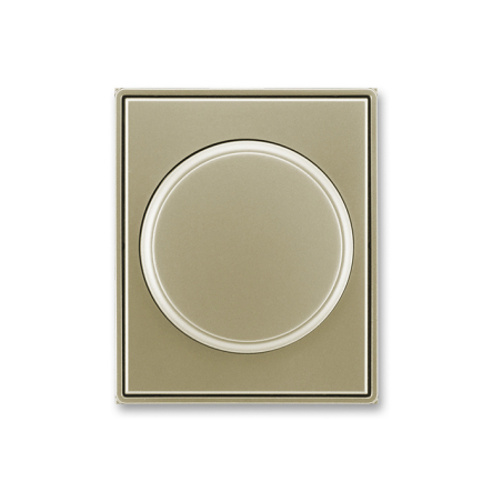 Центральная пластина для диммера - 1