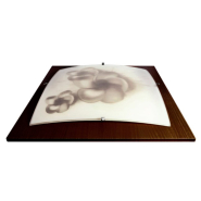 Світильник настінний ARTTOK MDG 4292/3