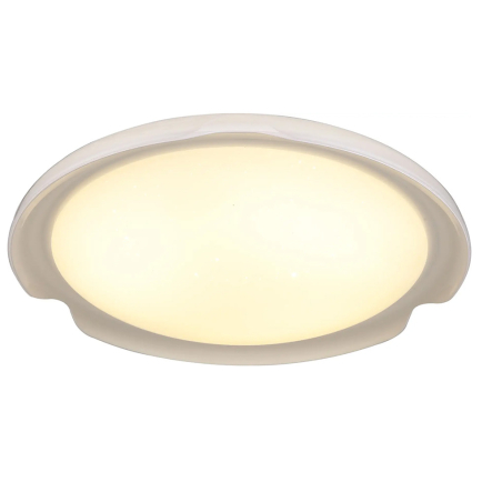 Светильник потолочный ALTALUSSE INL-9336C-24 White - 1