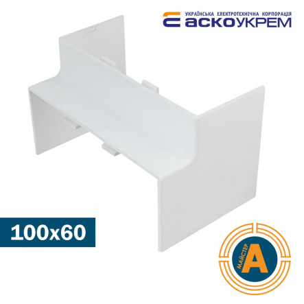 Угол внутренний 100х60 мм, АСКО-УКРЕМ, A0070040031 - 1