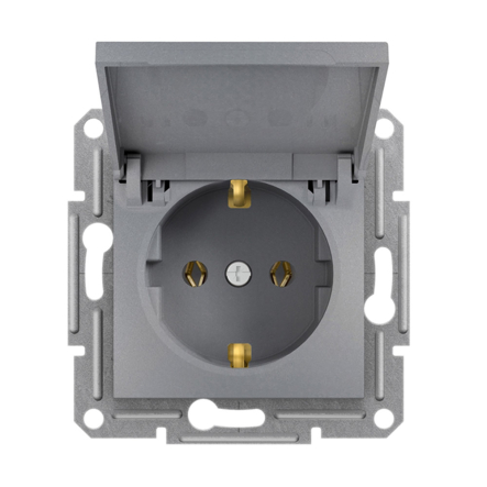 Розетка с заземлением, с крышкой, Schneider Electric ASFORA, сталь, EPH3100162 - 1