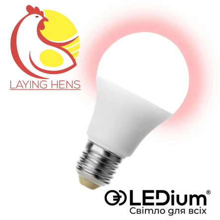 Лампа LEDium LAYING HENS, 13W, E27, A60, 1800К, 650Lm, IP65, диммируемая