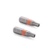 Біти S2 T-25* 25mm 2шт Sturm 1274304