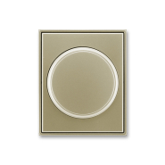 Центральная пластина для диммера