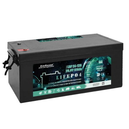 Аккумуляторная батарея EVEREXCEED LiFePO4, 24V, 100Ah, 4000 циклов - 1