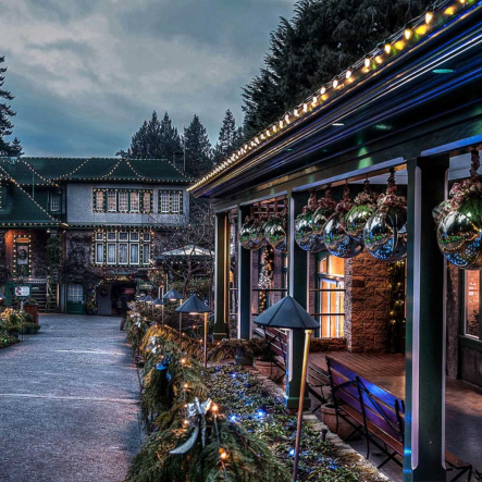 Гирлянда FERON, Белт-лайт, CL25-25, IP65, 230V, 100хЕ27, шаг 25 см, 25 м +1,5 м шнур, черный, 6491